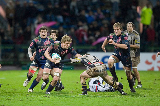 提供了坚定 提供了坚定