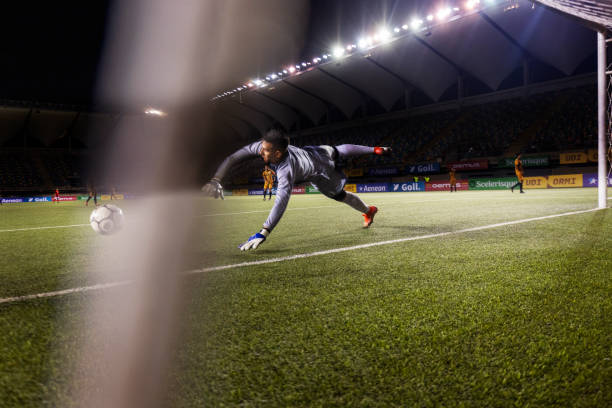 是运动生涯 是运动生涯