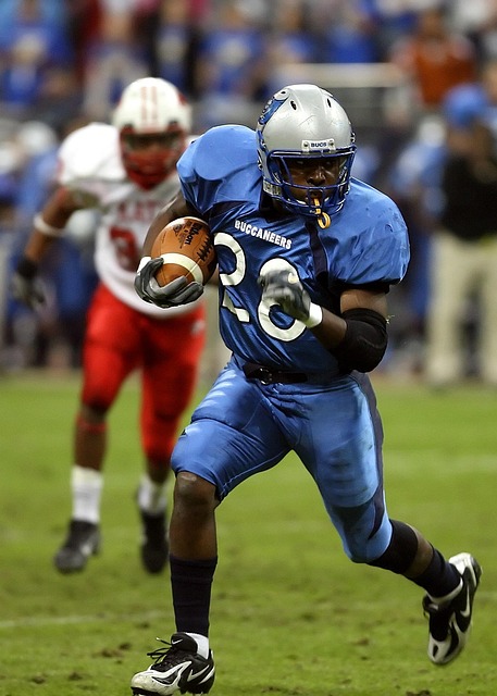 马奎尔的论 马奎尔的论